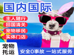 路桥航空邮寄国际宠物托运 【国